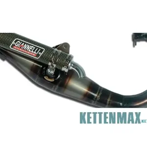 passend für Aprilia SR 50 94-01 Giannelli Reverse Sportauspuff 31604E Expressversand