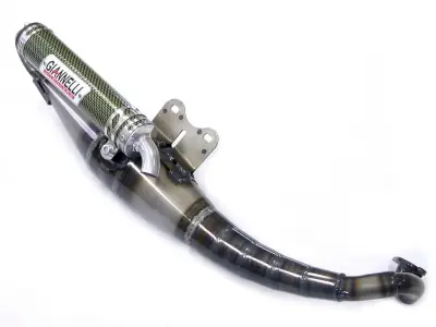 Giannelli Auspuffanlage Reverse: passend für Peugeot Ludix 50 Jetzt Kaufen