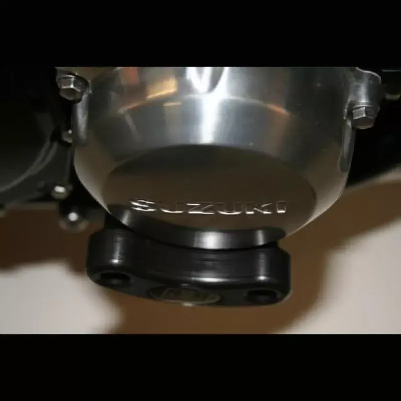 R&G Racing Lichtmaschine Protektor passend für Suzuki GSX 1400 Neu Im Sortiment