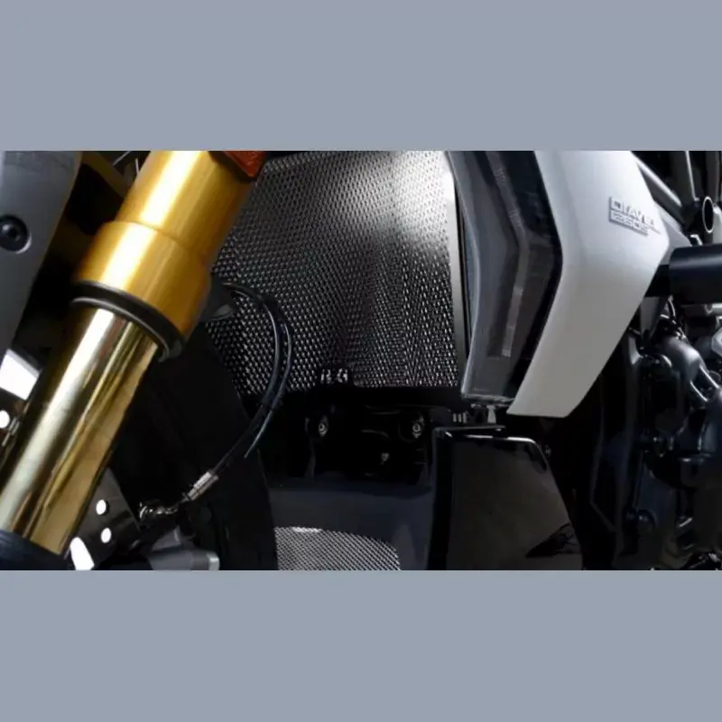 Expressversand R&G Kühlergitter Schutz passend für Ducati Diavel 1260 ab 2021