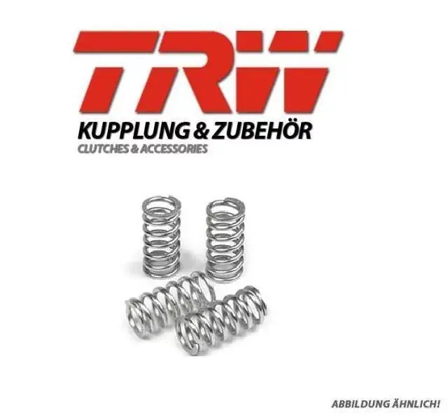 Kupplungsfedern passend für Kawasaki & Yamaha Kracherpreis