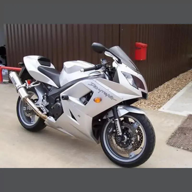 R&G Racing Sturzpads passend für Triumph Daytona 600 / 650 Bestpreis