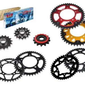 Preisknaller DID Kettensatz passend für Energica Eva Ribelle RS DID525ZVM-X2 Kette