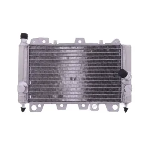 Wasserkühler JMP passend auf Gilera Runner, Piaggio Beverly, Piaggio X9 online kaufen Bestseller