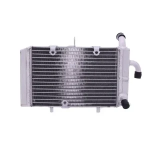 Kostenfreie Lieferung Wasserkühler JMP passend für Yamaha CZD 300 X-Max und MWD 300 Tricity