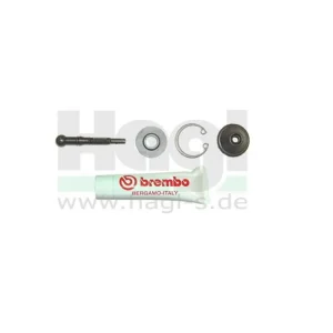 Schneller Versand Druckstange für Radialarmatur Brembo - PR 16 und PR 19 - 110426660