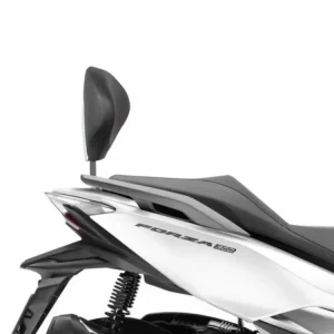 Beliebt Rückenlehne Rückenhalter passend für Honda NSS 350 Forza / ADV 350 / NSS 125 - H0FR17RV Shad