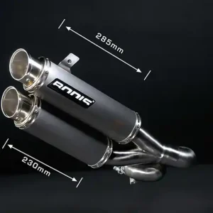 Bodis GPX2-S Endschalldämpfer mit Kat passend für Yamaha FZ1; Baujahre: 2006-2016 Echt